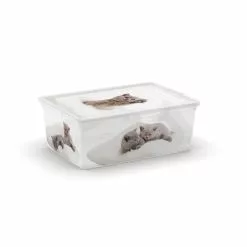 KIS Contenitore Box Style S Puppy And Kitten