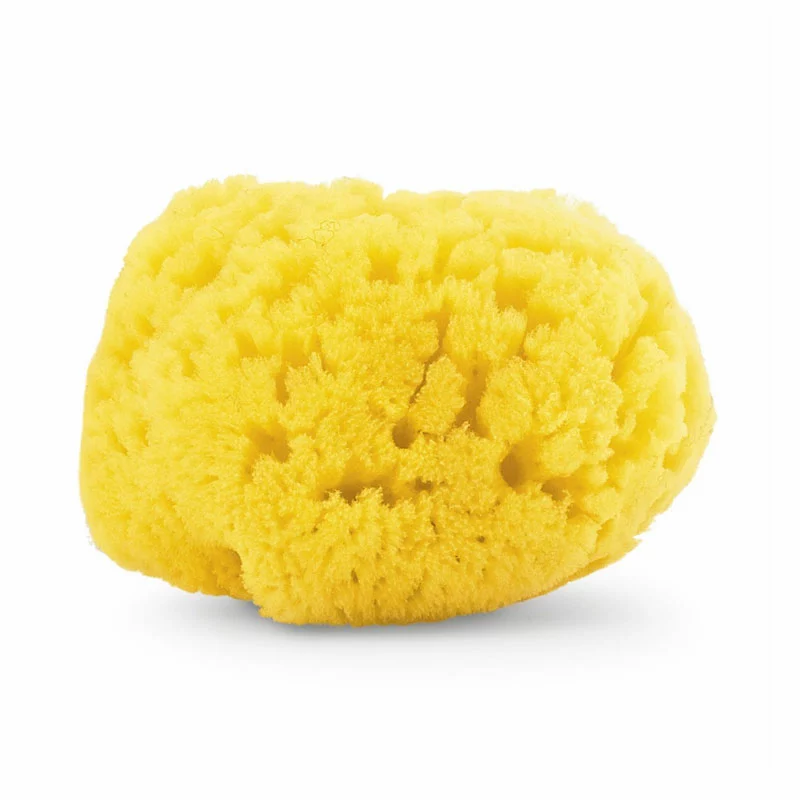 Chicco Spugna Marina Per Neonati E Bambini - Taglia Media 3 Chicco Spugna Marina Per Neonati E Bambini - Taglia Media